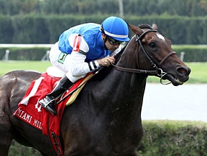 Summer Front wins the  2013 Miami Mile Handicap.