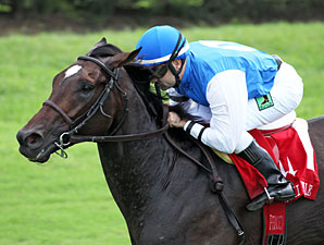 Summer Front wins the  2013 Miami Mile Handicap.