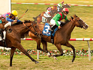 Summer Soiree wins the 2011 Del Mar Oaks.
