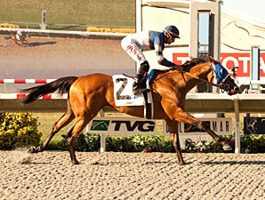Sunday Rules wins the 2013 Generous Portion Stakes.