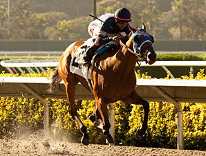 Sunday Rules wins the 2013 Generous Portion Stakes.