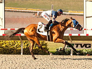 Sunday Rules wins the 2013 Generous Portion Stakes.