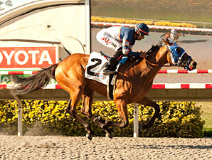 Sunday Rules wins the 2013 Generous Portion Stakes.