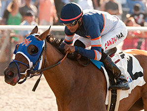 Sunday Rules wins the 2013 Generous Portion Stakes.
