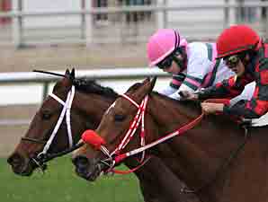 Sunday's Child wins the 2012 Sarah Lane's Oates Stakes.