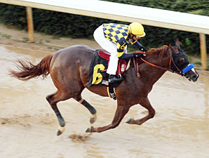 Super Ninety Nine wins the Southwest Stakes.
