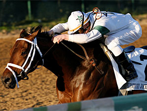 Super Saver wins the 2009 Kentucky Jockey Club.