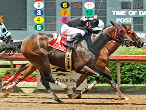 Supreme Secret and Southern Vintage dead heat in the 2010 Carter McGregor Jr Memorial Stakes