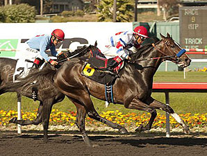 Surfcup wins the Snow Chief.