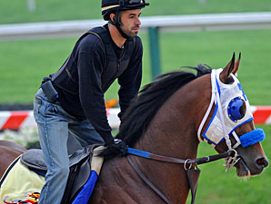 Sway Away - Pimlico May 19, 2011