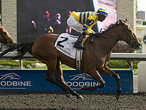 Sweater Weather wins the La Lorgnette Stakes.