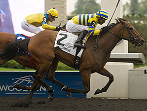 Sweater Weather wins the 2014 Eternal Search Stakes.