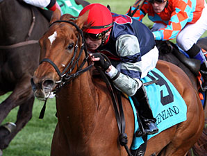 Sweet Cassiopeia wins the 2013 Giant's Causeway.