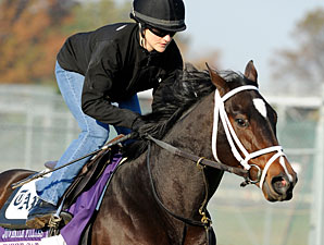 Sweet Cat, Churchill Downs, Oct 29, 2011