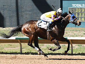 Sweet Dixie Van wins the 2013 Ingrid Knotts Stakes.