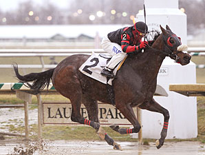 Sweet Goodbye wins the 2010 Conniver Stakes.