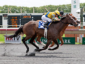 Sweet Luca wins the 2013 Addison Cammack Handicap.