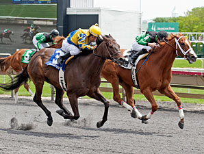 Sweet Luca wins the 2013 Addison Cammack Handicap.