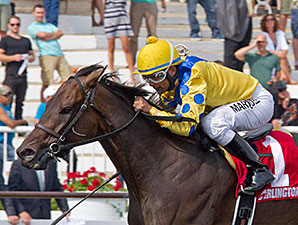 Sweet Luca wins the 2014 Addison Cammack Handicap.