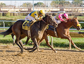 Sweet Luca wins the Sun Power Stakes.