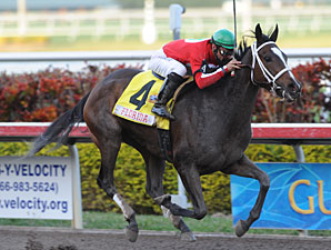 Sweet Repent wins the 2010 Sunshine Millions Distaff.