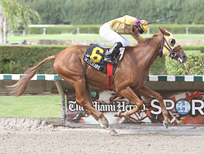Sweetlalabye wins the 2009 My Dear Girl.