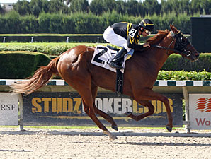 Sweetmarys Success wins the 2013 J J'sdream Stakes.