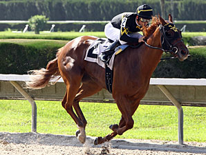 Sweetmarys Success wins the 2013 J J'sdream Stakes.