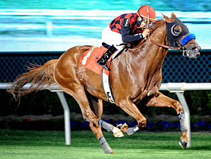Swift Warrior wins the 2013 John B. Connally Turf Cup Stakes.