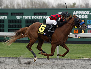 Swift Warrior wins the 2011 Rushaway.