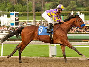 Switch in the 2010 La Brea Stakes.
