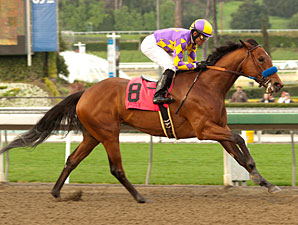 Switch in the 2011 Santa Monica Handicap.