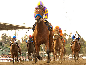 Switch in the 2010 La Brea Stakes.