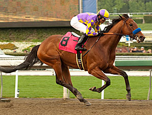 Switch winning the 2011 Santa Monica Handicap.