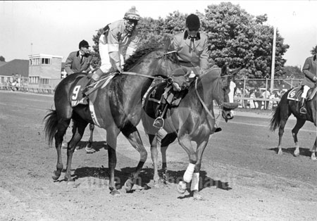 Spend A Buck - 1985 KY Derby Winner