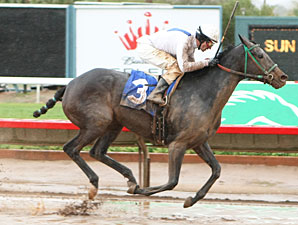 Table Mesa wins the 2011 Sun City Handicap.