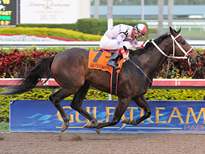 Tackleberry wins the 2011 Gulfstream Park Championship Sprint.