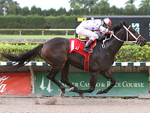 Tackleberry wins the 2010 Jack Dudley Sprint.