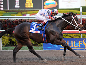 Tackleberry wins the 2011 Sunshine Millions Classic.