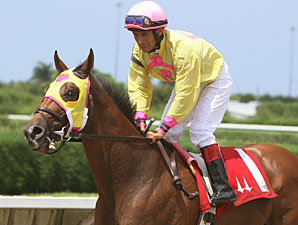 Tahoe Warrior wins the 2010 Bob Umphrey Turf Sprint Handicap.