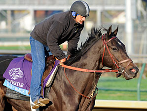 Take Charge Indy works at Churchill Downs, October 29, 2011.