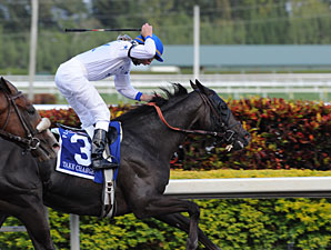 Take Charge Indy wins the 2012 Florida Derby.