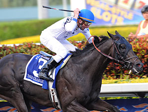 Take Charge Indy wins the 2012 Florida Derby.