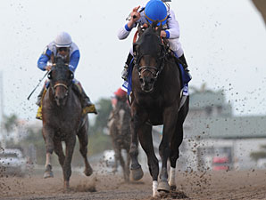 Take Charge Indy wins the 2012 Florida Derby.