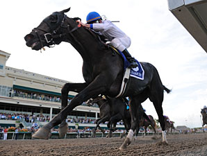 Take Charge Indy wins the 2012 Florida Derby.