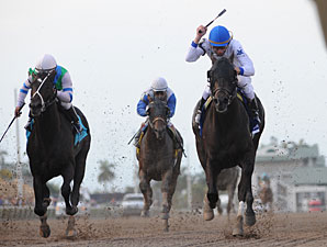 Take Charge Indy wins the 2012 Florida Derby.