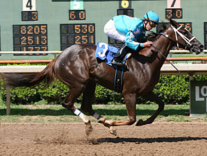 Take Me Home Too wins the 2010 Laurel Lane Stakes.