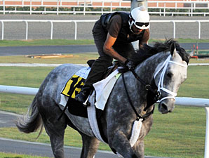Take the Points Dubai Duty Free 2010.