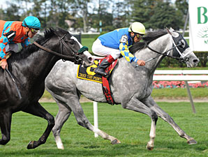Deep Field Lines Up For Hollywood Derby Deep Field Lines Up For Hollywood Derby