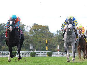 Take the Points wins the 2009 Jamaica.
